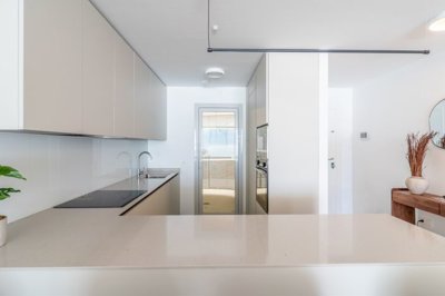 bzpaap121463047861024v00086