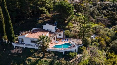 bzpaap121263049031024v03acf