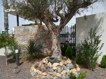 bzpaap121513049731024v014f4