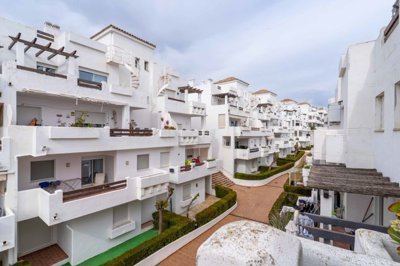 bzpaap121613055361024v0e256