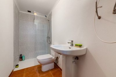 bzpaap75691833661024v0557a