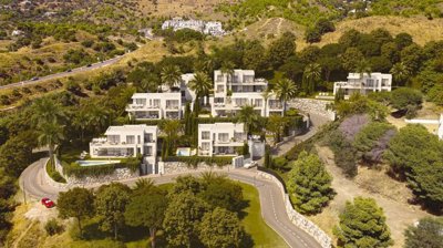 bzpaap117402924451024v07ac1