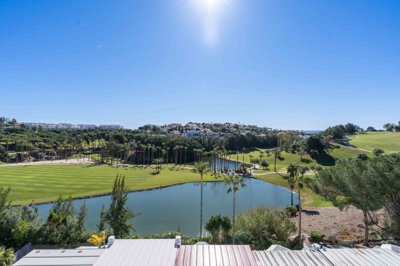 bzpaap122373079601024v0339f