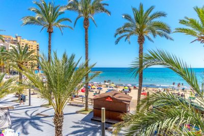 bzpaap122323077441024v04be0