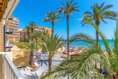 bzpaap122323077481024v0979e