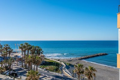 bzpaap122563086871024v02291