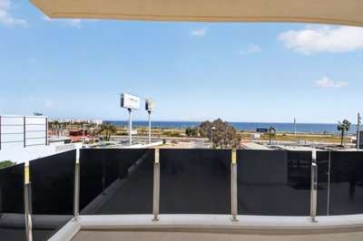 bzpaap122763091711024v0287e