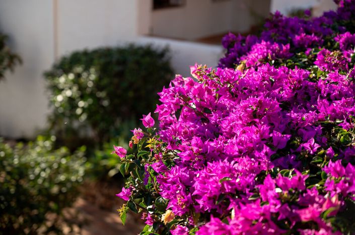 Image No.17-2 Bed Apartment for sale