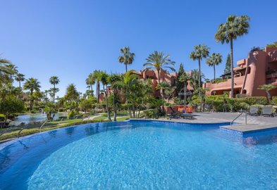 bzpaap122183074591024v06183