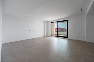 bzpaap122803093411024v0367c