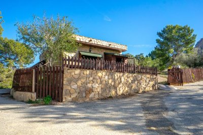 bzpaap122933099561024v01de3