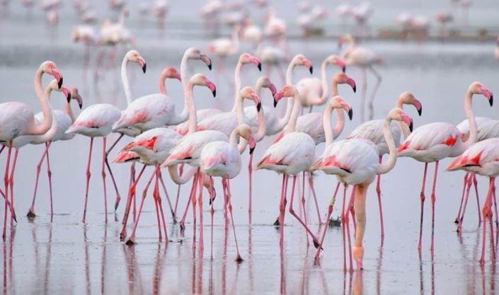 Image No.12-Villa de 4 chambres à vendre à Torrevieja