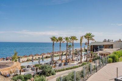 bzpaap123023101621024v064c4