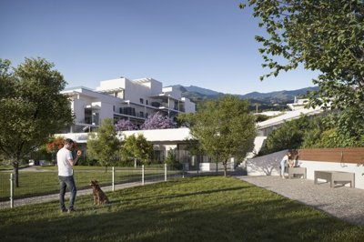 bzpaap122923098971024v0702e