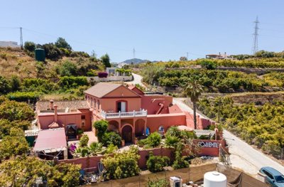 DJI_0981