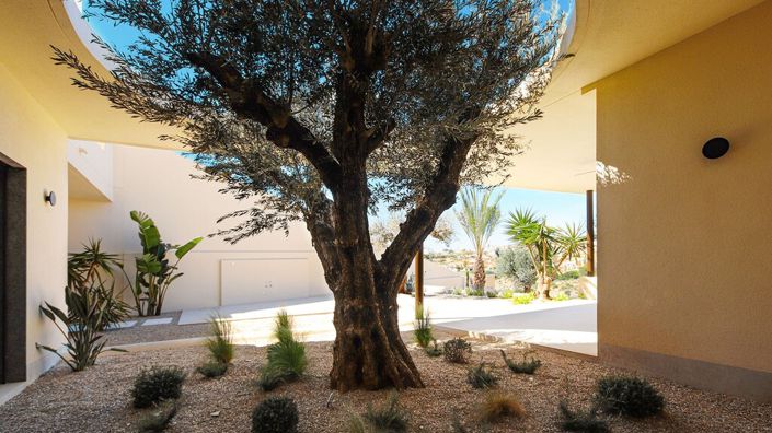 Image No.5-Villa de 4 chambres à vendre à Elche