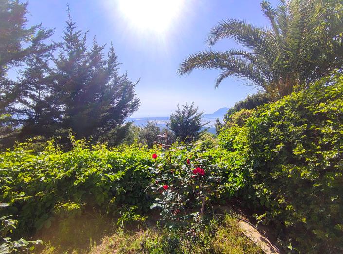 Image No.27-4 Bed Villa / Detached for sale