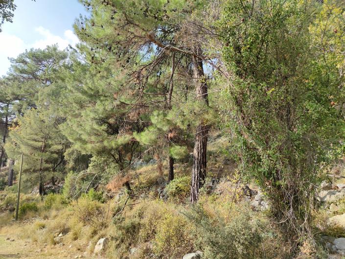 Image No.7-Plot for sale