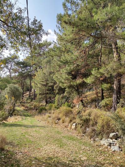 Image No.8-Plot for sale