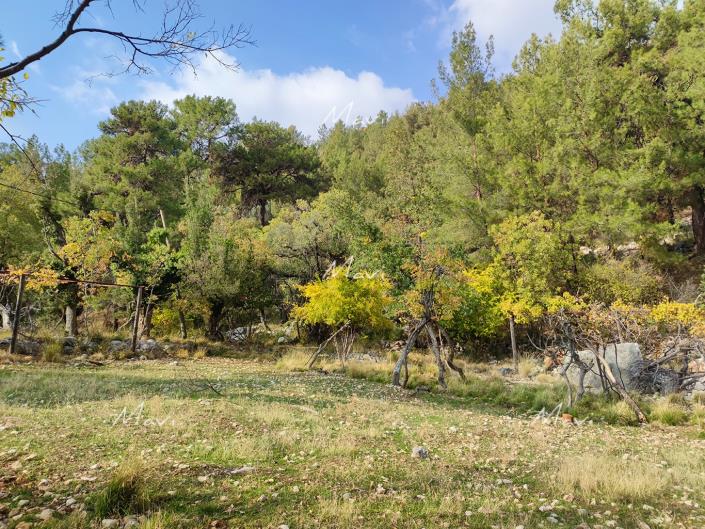 Image No.10-Plot for sale