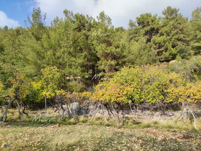 Image No.11-Plot for sale