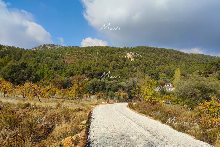 Image No.13-Plot for sale