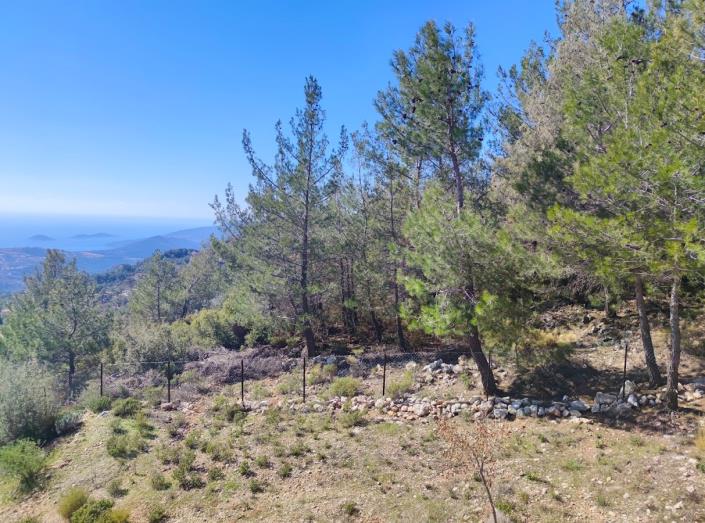 Image No.19-3 Bed Bungalow for sale