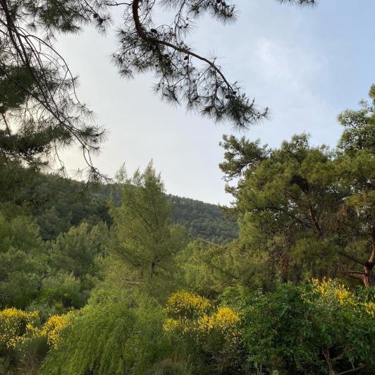 Image No.25-3 Bed Villa / Detached for sale