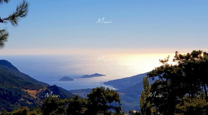 Image No.50-4 Bed Villa / Detached for sale