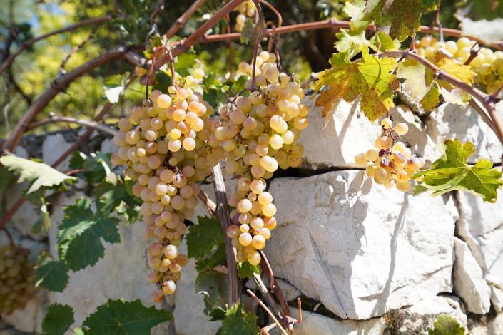 Image No.26-4 Bed Villa / Detached for sale