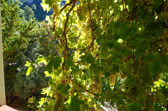 Image No.41-4 Bed Villa / Detached for sale