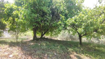 Kalkan-Villa-Apartment-for-sale-Kas-Antalya_29