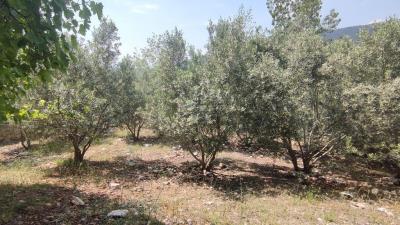 Kalkan-Villa-Apartment-for-sale-Kas-Antalya_30