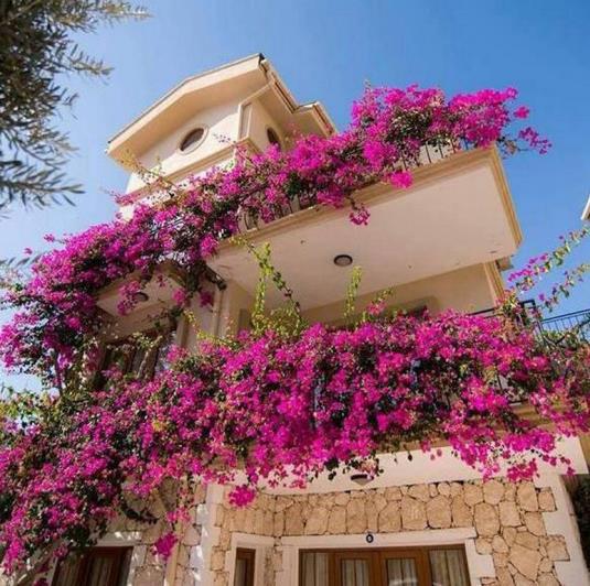 Image No.37-Appartement de 2 chambres à vendre à Kalkan