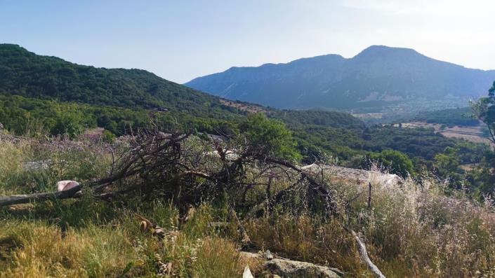 Image No.3-4 Bed Country Property for sale