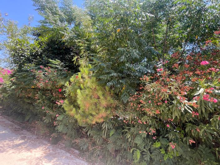 Image No.8-Villa / Détaché de 3 chambres à vendre à Kalkan