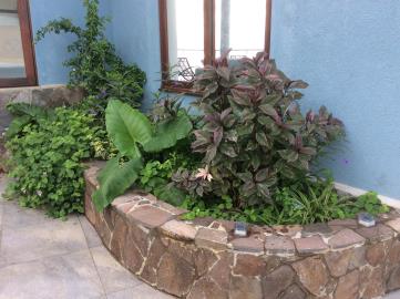 Garden_bed