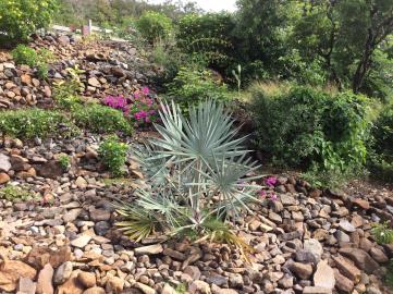 Garden_general1