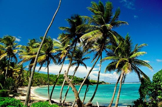 Image No.23-3 Bed House/Villa for sale