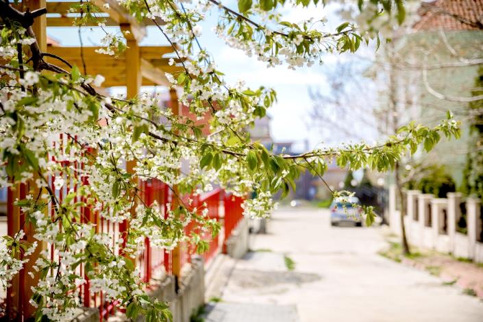 Image No.11-1 Bed Apartment for sale