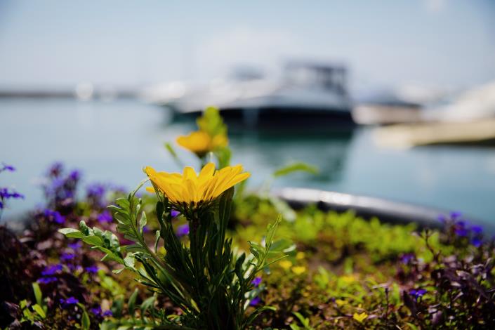 Image No.12-1 Bed Apartment for sale