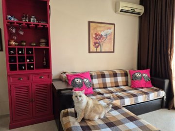 KC Properties LTD most sold property