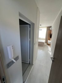 38242sgvfj