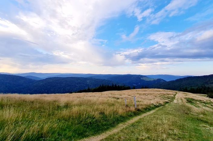 Image No.16-4 Bed House for sale