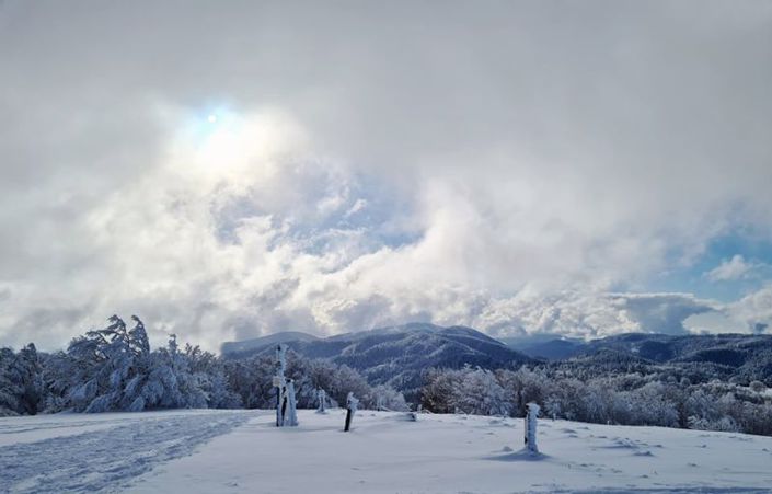 Image No.17-4 Bed House for sale