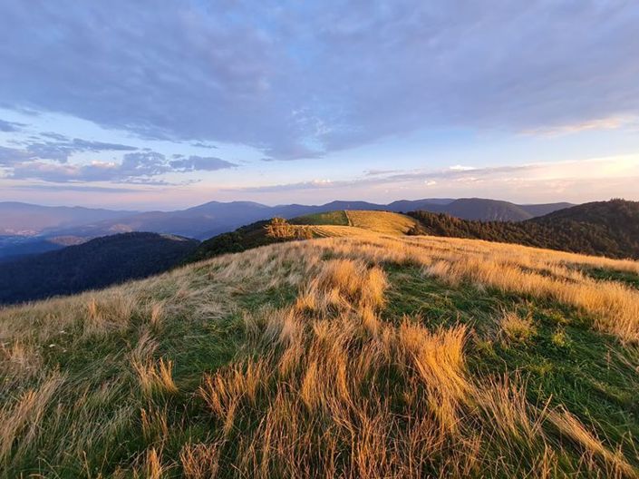 Image No.18-4 Bed House for sale