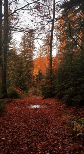 Image No.19-4 Bed House for sale