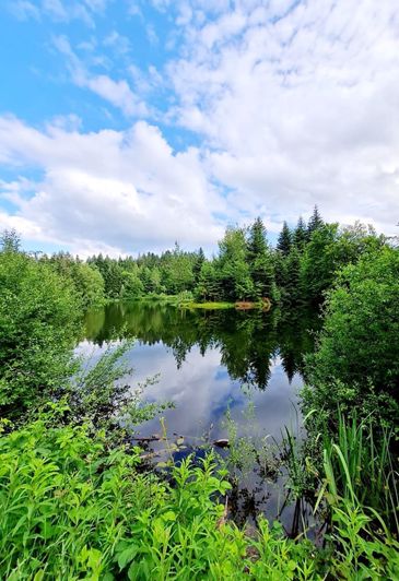 Image No.20-4 Bed House for sale