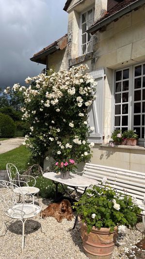 Image No.41-Maison de 12 chambres à vendre à Luçay-le-Mâle