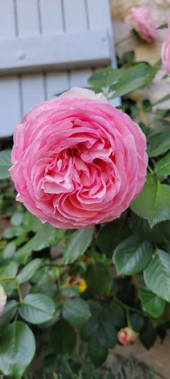 Image No.42-Maison de 12 chambres à vendre à Luçay-le-Mâle